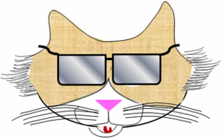ON_megane.gif